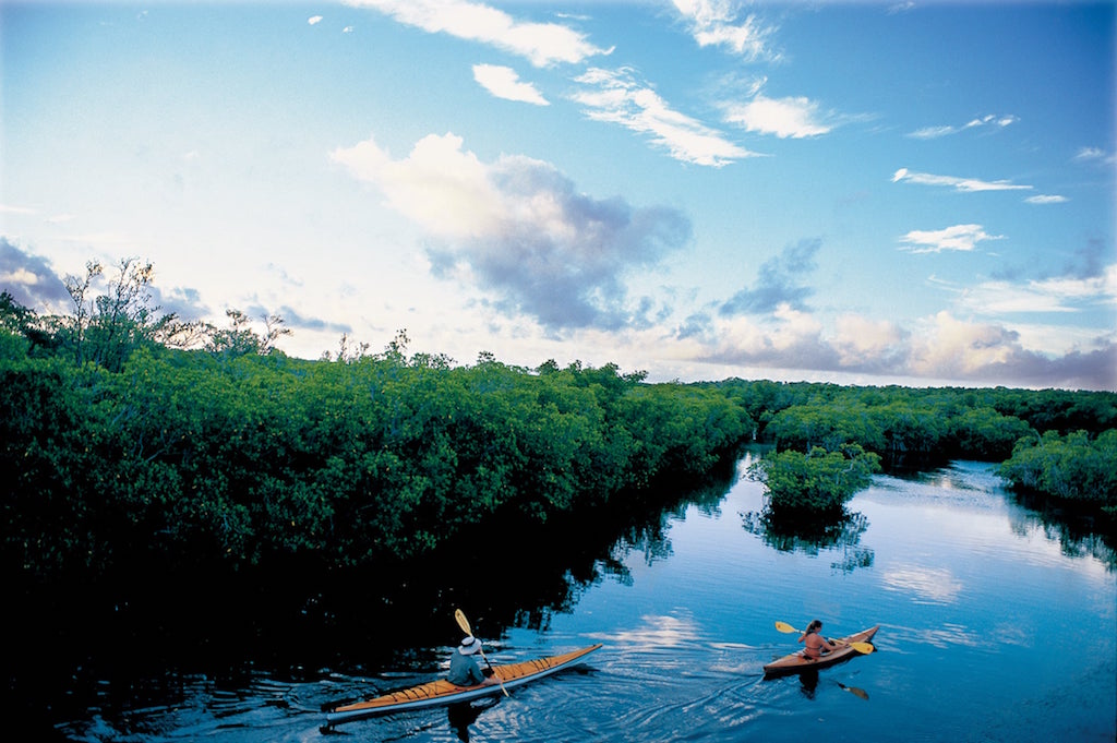 Custom eco-tour Key Largo Kayaking Florida Keys