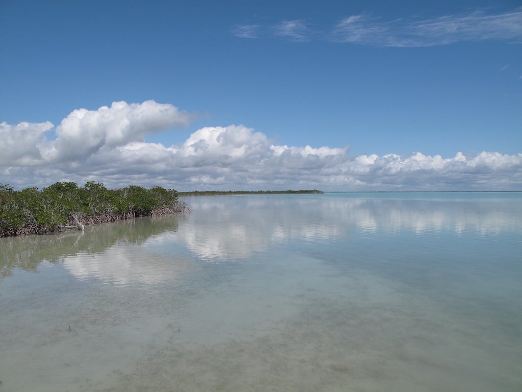 Shallow Water in Florida Bay Kayak Rentals and Tours Key Largo